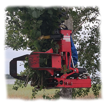 Old model